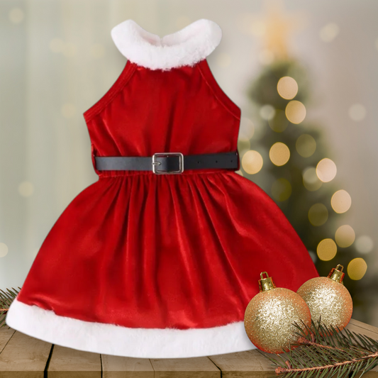 Santa Dress with Belt #1000990