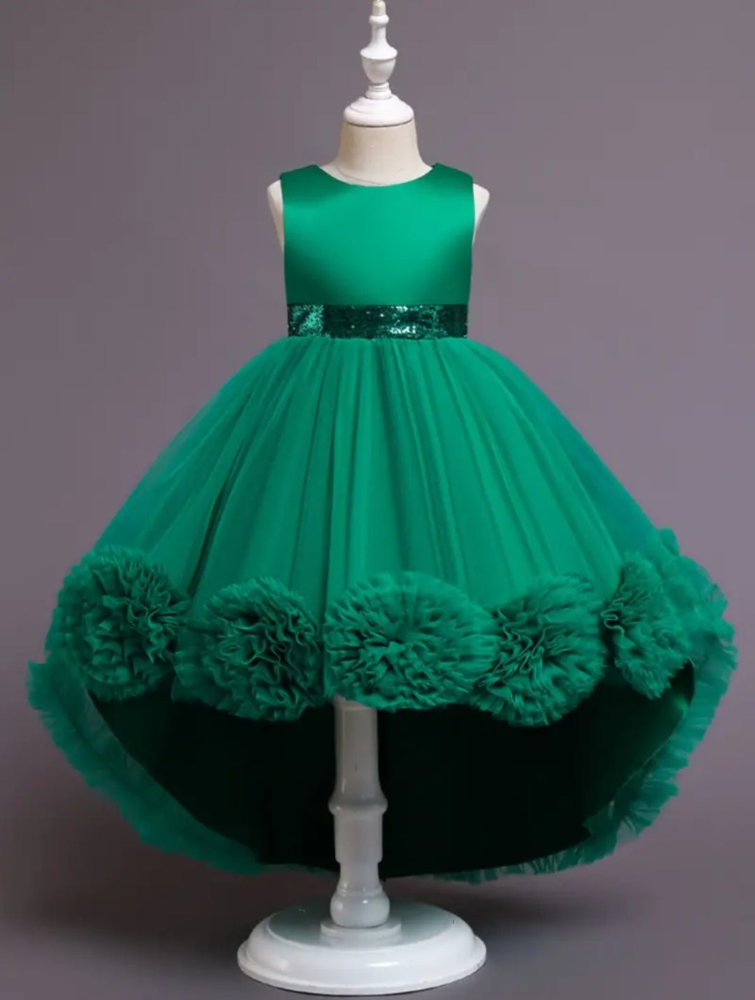 Forest Green Special Occasions Ball Cown #1000100