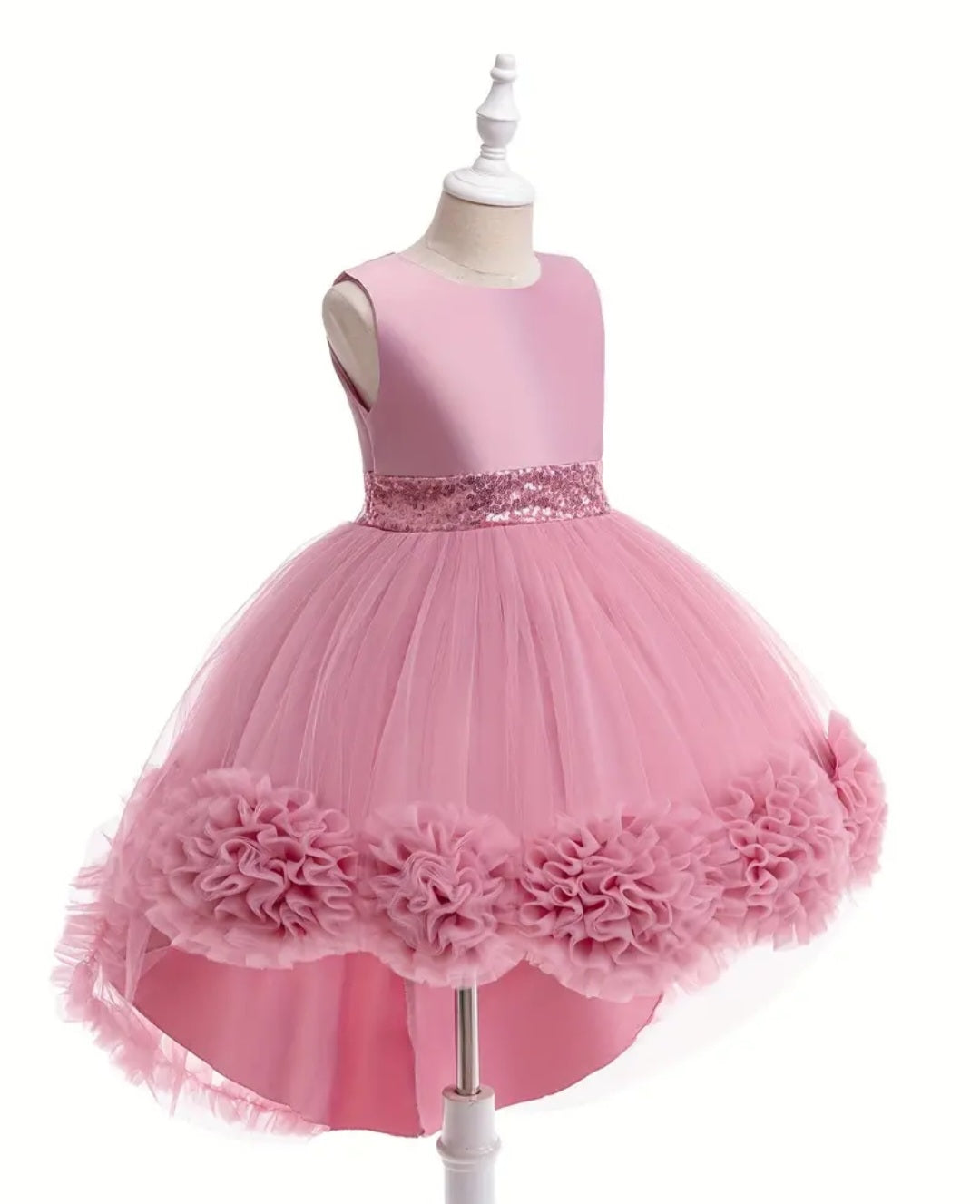 Dusty Pink Special Occasions Ball Cown  #1000792