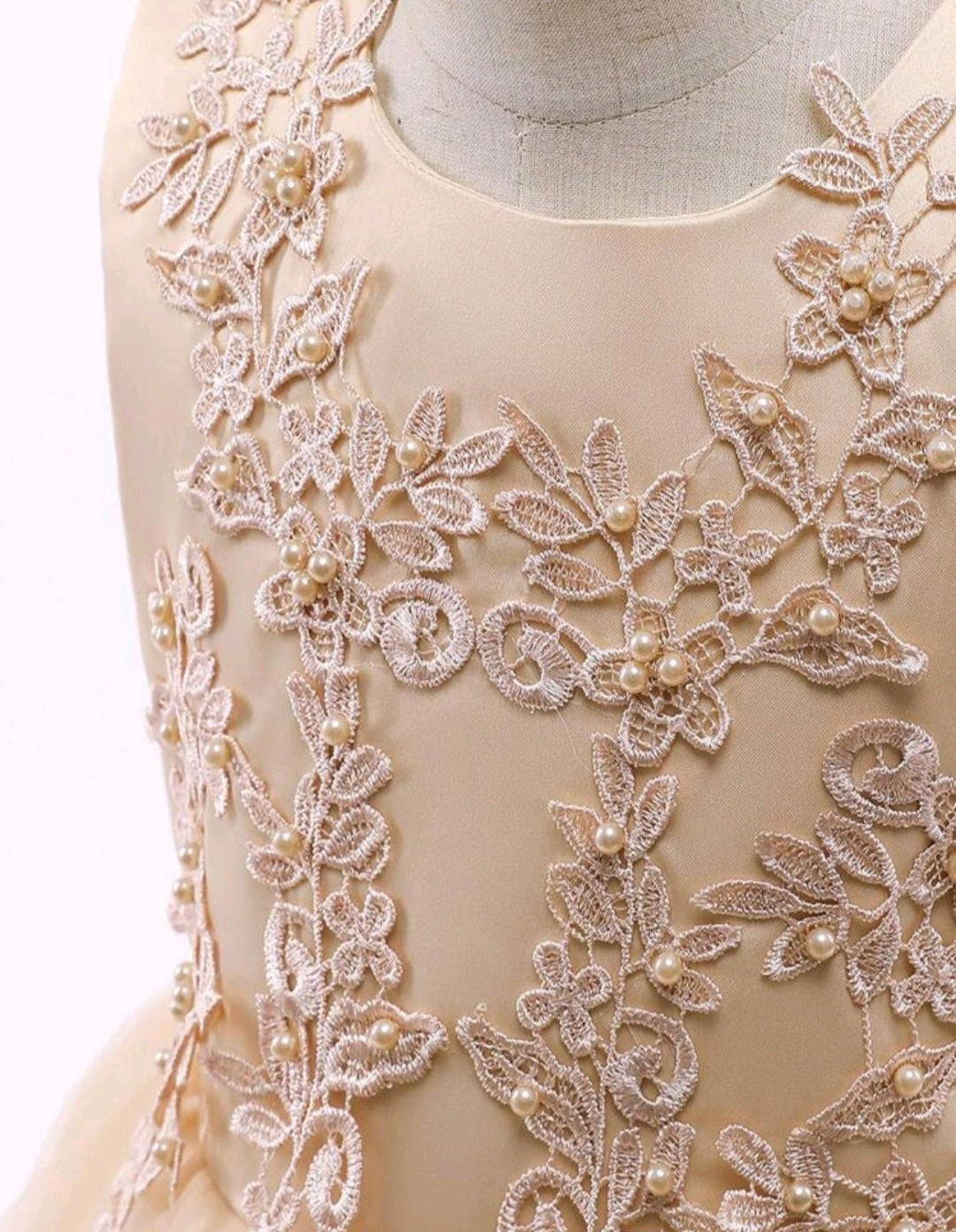 Ivory Dress Embellished Special Occasions Dress #1000774