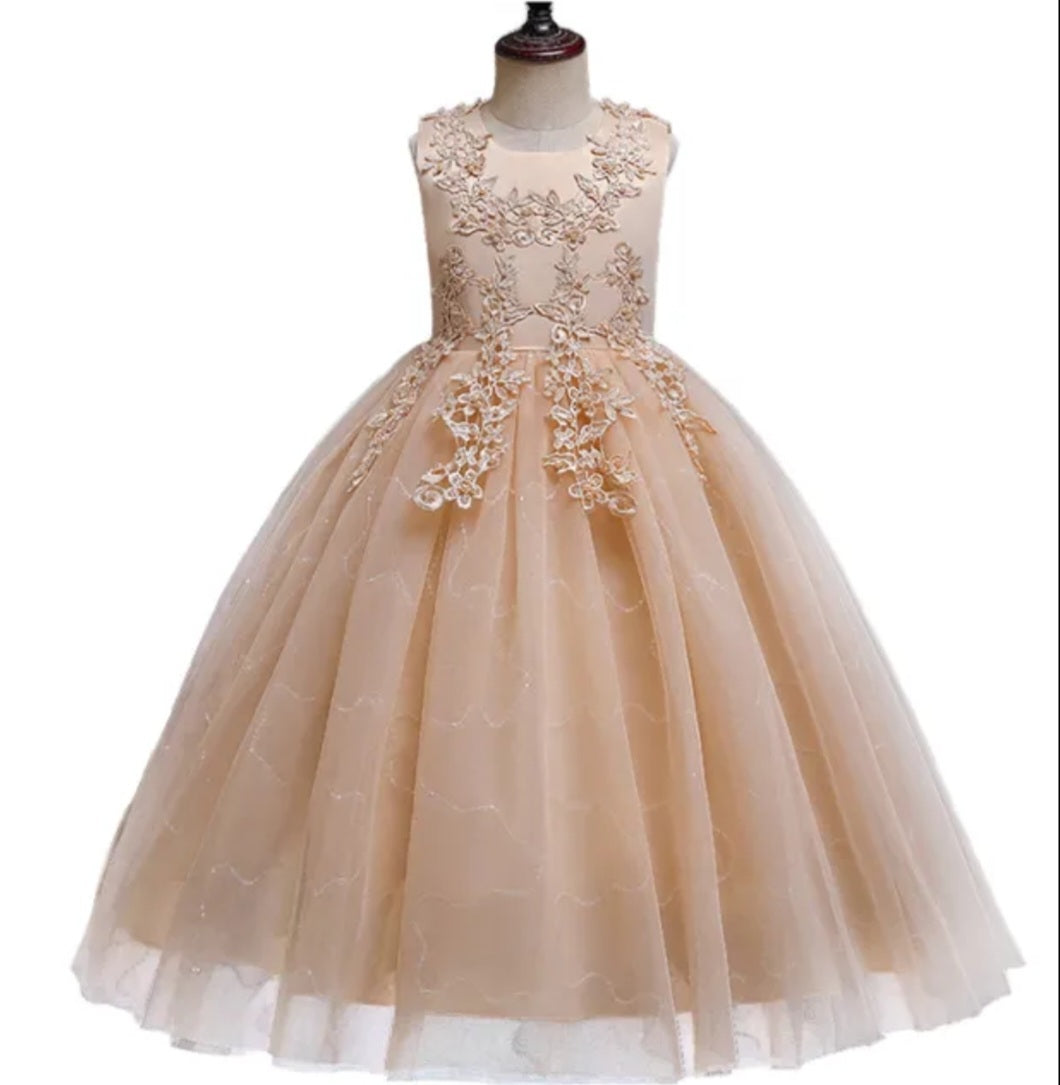 Ivory Dress Embellished Special Occasions Dress #1000774