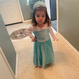 Teal Ice Princess Costume  #10020036