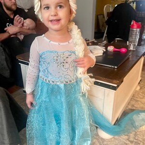 Teal Ice Princess Costume  #10020036