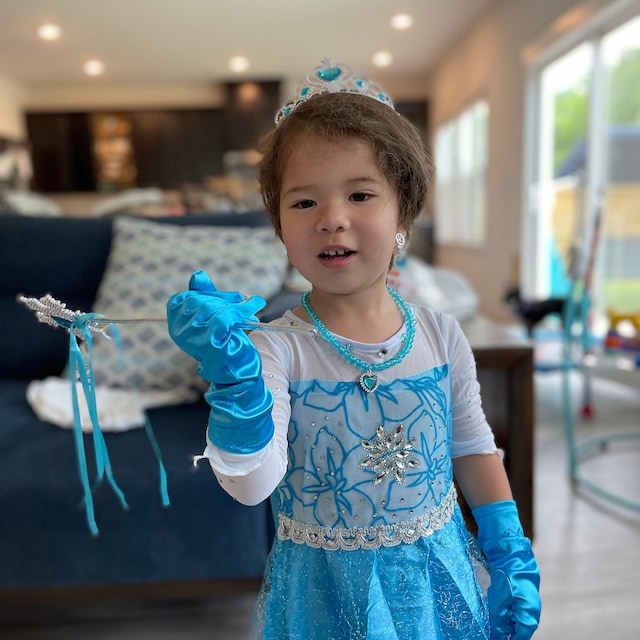 Teal Ice Princess Costume  #10020036